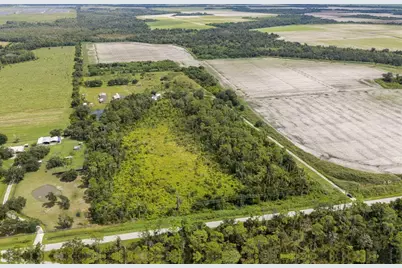 8755 Wauchula Road, Myakka City, FL 34251 - Photo 29
