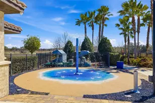 13512 Palmera Vista Dr, Riverview, FL 33579 - Photo 47