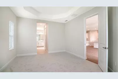 10005 Powell Avenue, Parrish, FL 34219 - Photo 13