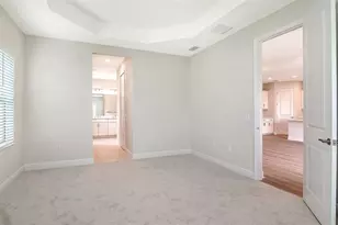 10005 Powell Ave, Parrish, FL 34219 - Photo 13