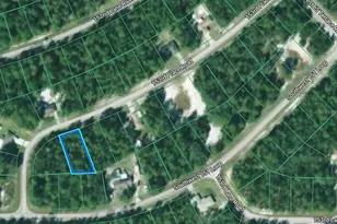 6820 SW 153rd Pl Rd, Ocala, FL 34473 - Photo 1
