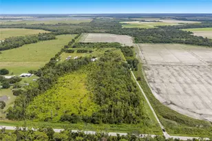 8755 Wauchula Rd, Myakka City, FL 34251 - Photo 37