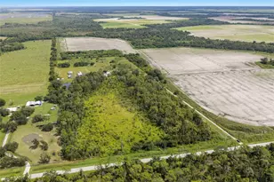 8755 Wauchula Rd, Myakka City, FL 34251 - Photo 31