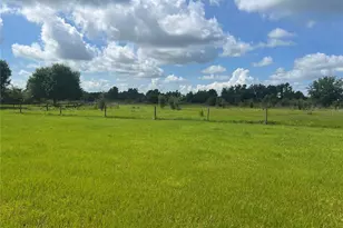 8755 Wauchula Rd, Myakka City, FL 34251 - Photo 9