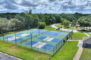 3948 Orchard Hill Cir, Palm Harbor, FL 34684 - Photo 41