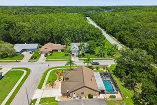 650 Sweetbriar Dr, Oldsmar, FL 34677 - Photo 43