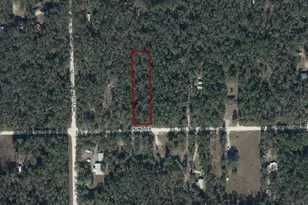 282nd Terrace, Branford, FL 32008 - Photo 1