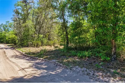 Ne 125th Street, Bronson, FL 32621 - Photo 9