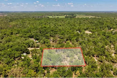 Ne 125th Street, Bronson, FL 32621 - Photo 3