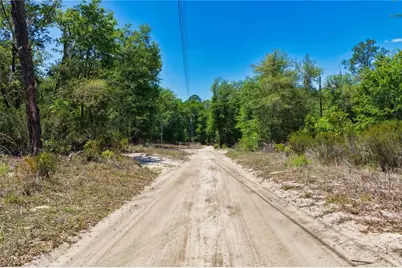 Ne 125th Street, Bronson, FL 32621 - Photo 7