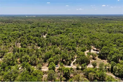 Ne 125th Street, Bronson, FL 32621 - Photo 13