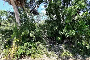 Foxglove Rd, Venice, FL 34293 - Photo 1