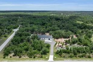 40916 11th Ave E, Myakka City, FL 34251 - Photo 9