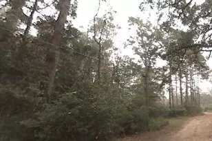 Pichard Dr, Tallahassee, FL 32311 - Photo 1