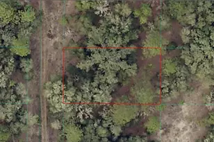 SW 153rd Ave Lot 27, Ocala, FL 34481 - Photo 1