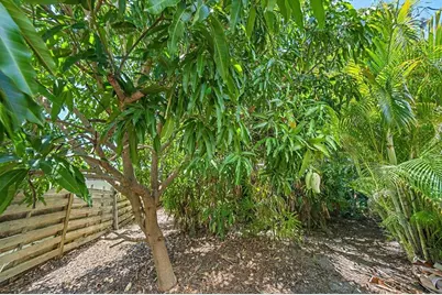 2462 Clematis Street, Sarasota, FL 34239 - Photo 39