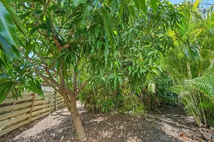 2462 Clematis St, Sarasota, FL 34239 - Photo 39