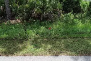 Lot 38 Allsup Terrace, North Port, FL 34286 - Photo 1