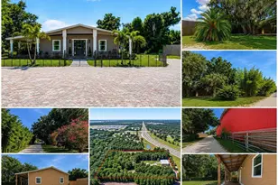 11740 Darsey Rd, Parrish, FL 34219 - Photo 79