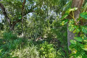 11740 Darsey Rd, Parrish, FL 34219 - Photo 53