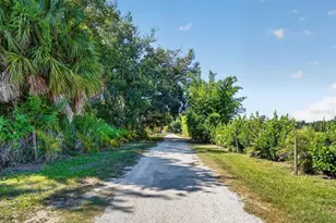 11740 Darsey Rd, Parrish, FL 34219 - Photo 73
