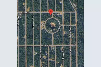 Denise Street, Interlachen, FL 32148 - Photo 1