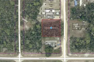 14-17-28-0200-004-04100 Oak St, Paisley, FL 32767 - Photo 1