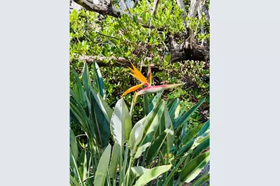 848 Evergreen Way, Longboat Key, FL 34228 - Photo 49