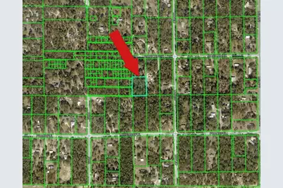 Peaceful Avenue, Weeki Wachee, FL 34614 - Photo 3
