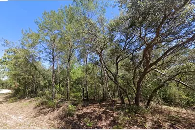 76 Fisher Run Terrace, Ocklawaha, FL 32179 - Photo 5
