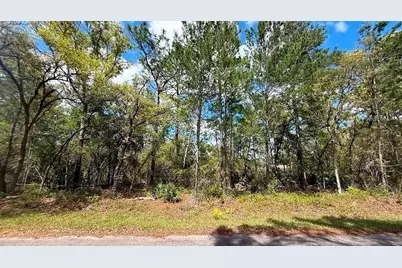 76 Fisher Run Terrace, Ocklawaha, FL 32179 - Photo 3