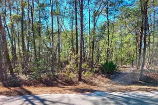 76 Fisher Run Terrace, Ocklawaha, FL 32179 - Photo 1