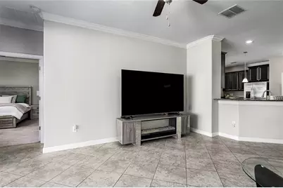 10009 Celtic Ash Drive, Ruskin, FL 33573 - Photo 9