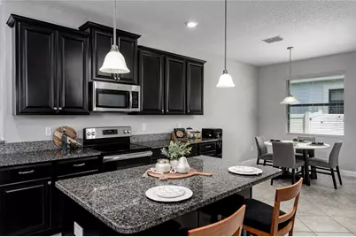 10009 Celtic Ash Drive, Ruskin, FL 33573 - Photo 13
