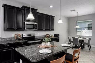 10009 Celtic Ash Dr, Ruskin, FL 33573 - Photo 13