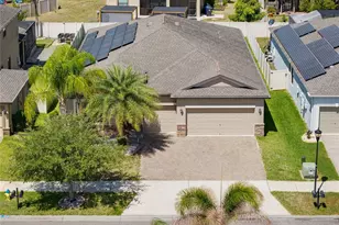 10009 Celtic Ash Dr, Ruskin, FL 33573 - Photo 3