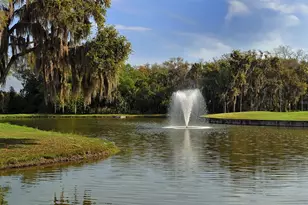 8234 Tea Olive Ter, Palmetto, FL 34221 - Photo 51
