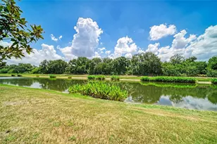 316 Star Shell Dr, Apollo Beach, FL 33572 - Photo 49