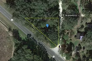 4145 E US Hwy 27, Mayo, FL 32066 - Photo 1