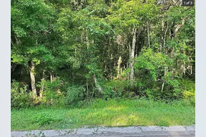 1763 Sherwood Street, Bunnell, FL 32110 - Photo 3