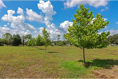 30620 Betts Road, Myakka City, FL 34251 - Photo 51