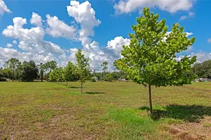 30620 Betts Rd, Myakka City, FL 34251 - Photo 51
