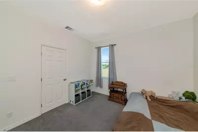 30620 Betts Road, Myakka City, FL 34251 - Photo 41
