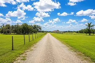 30620 Betts Rd, Myakka City, FL 34251 - Photo 5