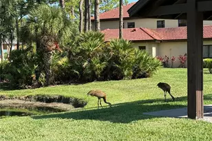 3637 Yellow Pine Ct, Sarasota, FL 34238 - Photo 39