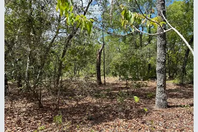 0000 Lady Bug Lane, Melrose, FL 32666 - Photo 3