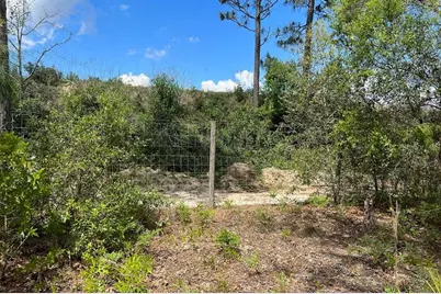 0000 Lady Bug Lane, Melrose, FL 32666 - Photo 5