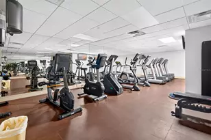 345 Bayshore Blvd, Tampa, FL 33606 - Photo 39