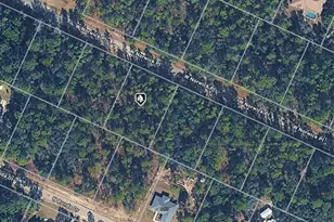 3690 W Norwick Pl, Dunnellon, FL 34433 - Photo 1