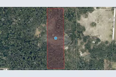 Mikasuki Trail, Paisley, FL 32767 - Photo 1